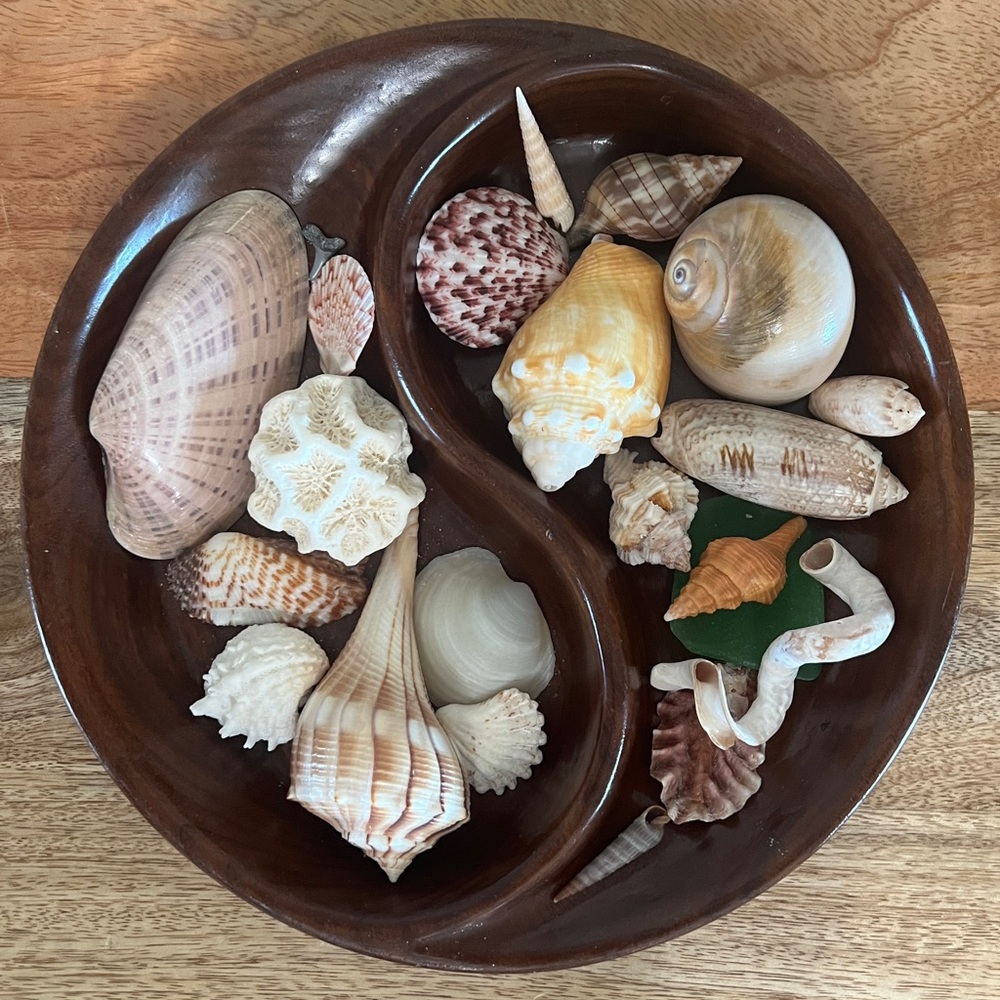 Wooden Ying Yang Bowl Filled With Authetic Natural Southwest Florida Shells
